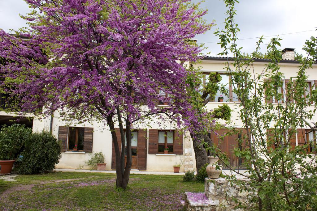B&B Alte Paderno del Grappa Exterior photo